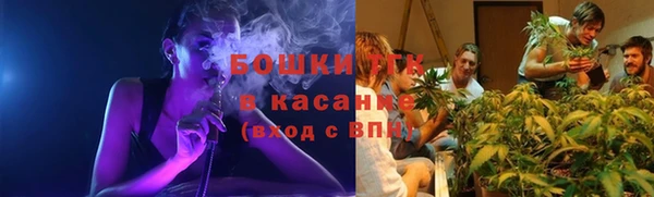 ГАЛЛЮЦИНОГЕННЫЕ ГРИБЫ Баксан
