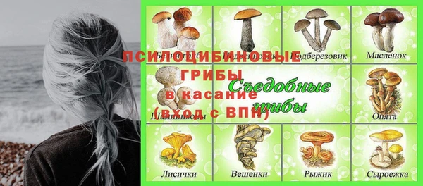 ГАЛЛЮЦИНОГЕННЫЕ ГРИБЫ Баксан