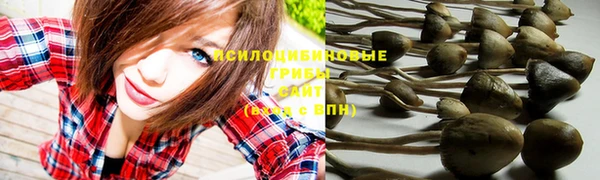 ГАЛЛЮЦИНОГЕННЫЕ ГРИБЫ Баксан