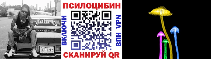 Псилоцибиновые грибы GOLDEN TEACHER  Купить где  Бодайбо 